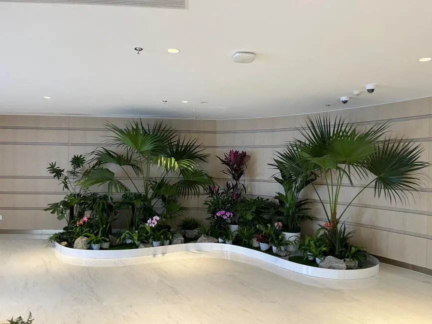 慈溪盆景租摆服务一流，你还不赶紧来看看？